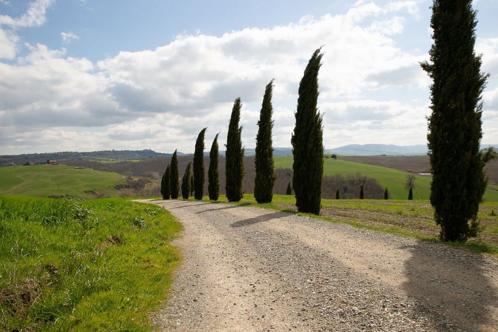 Buona Pasquetta